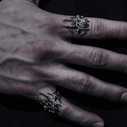 [001] VOID RING