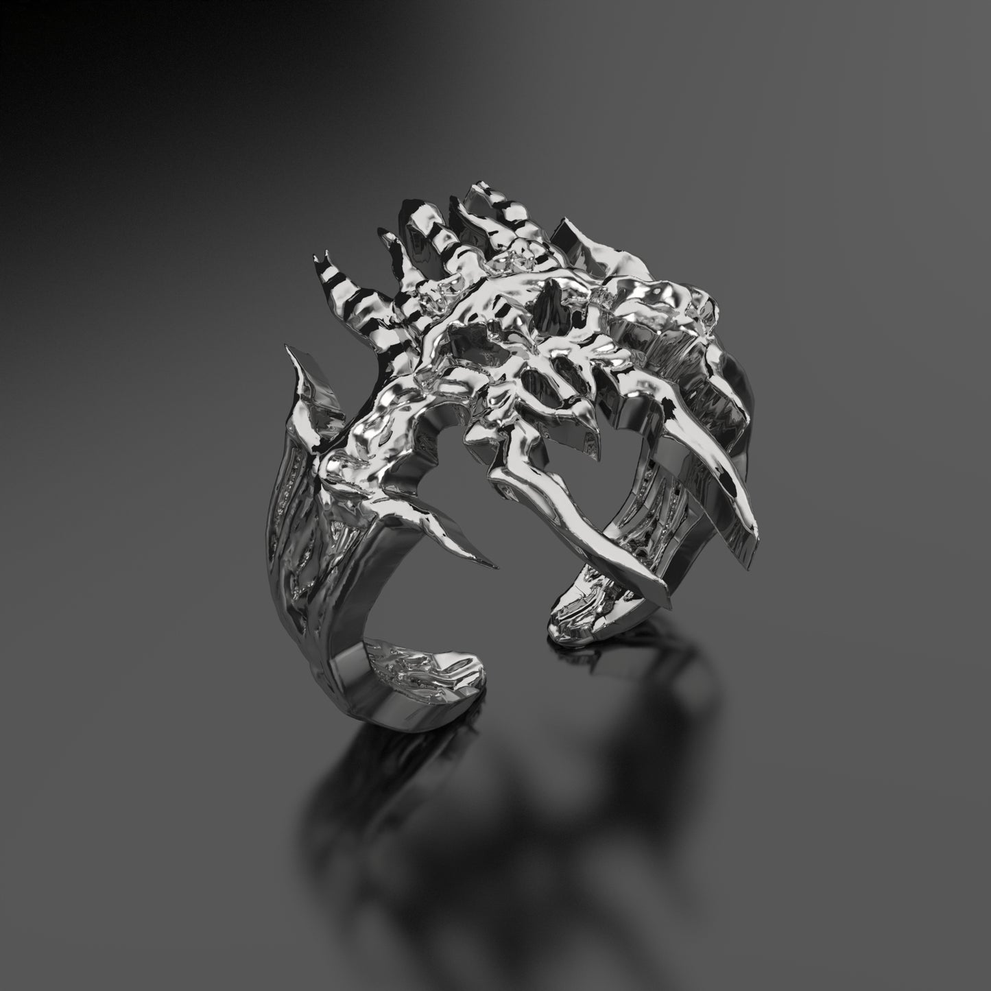 [001] VOID RING